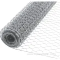 Galvanized Chicken Wire meshs